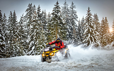 Winter race on an ATV on snow in the forest.