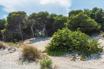 Dreamlike Salento. Bay of Torre dell'Orso. Puglia, Italy