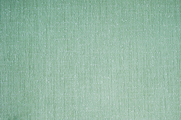 Spring green background texture. Element of design.