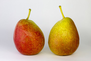 green-red pear on white background, close-up, copy space