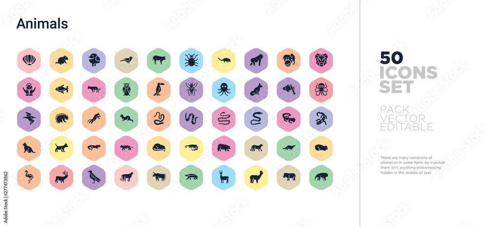 Aufkleber 50 animals vector icons set in a colorful hexagon buttons