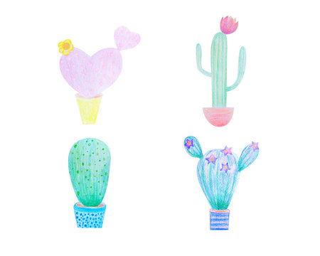 Set of hand-drawn isolated cacti in vintage style on white background.