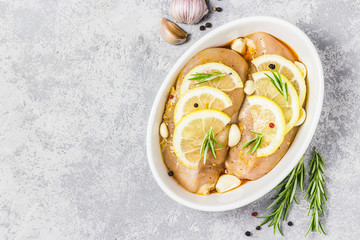 Raw chicken breasts, marinated with lemon garlic rosemary. Top view, space for text.