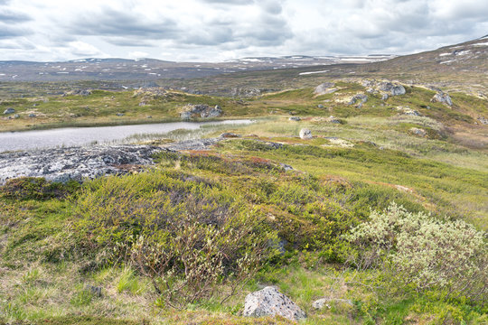 Die Hardangervidda bei Eidfjord in Norwegen