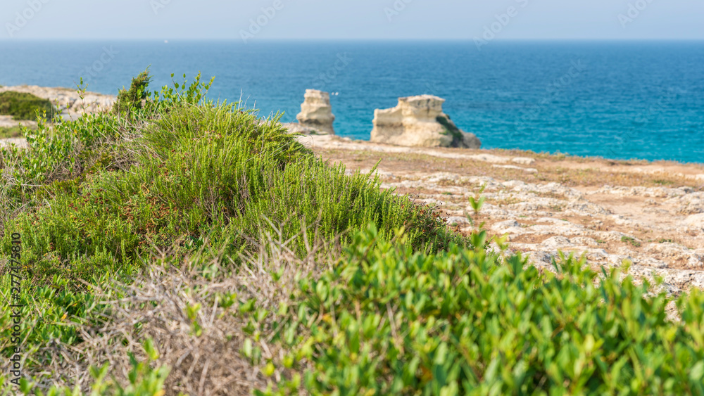 Wall mural Dreamlike Salento. Bay of Torre dell'Orso and stacks of the two sisters. Puglia, Italy