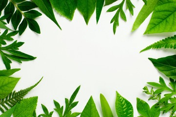 Fototapeta na wymiar Tropical leaf and herbs frame border with a middle blank space for a text, logo, or product designs. Flat lay. Overhead close up shot – image