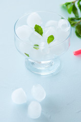 Ice cubes in a glass bowl with mint leaves.