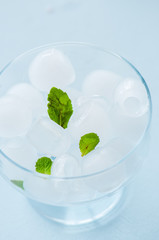 Ice cubes in a glass bowl with mint leaves.