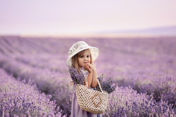Beautiful long-haired girl in a dress in a field of blooming lavender