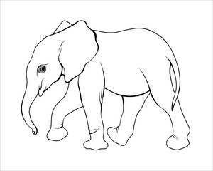 Elephant black white contour isolated
