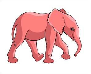 vector illustration of cartoon pink baby elephant