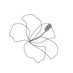 Hibiskusblüte in einem Strichzeichnungsstil. Schwarze Linienskizze auf weißem Hintergrund. Vektor-Illustration © GarkushaArt