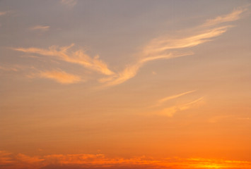 pink sunset, cloud bird