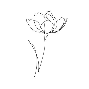 Abstract flower in one line art drawing style. Black line sketch on white background. Vector illustration