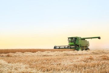 Fototapeta na wymiar Combine harvester in wheat field