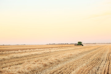 Combine harvester in wheat field