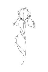 Iris flower in one line art drawing style. Black line sketch on white background. Vector illustration