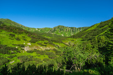 Obraz premium Green hills against the blue sky in the mountains