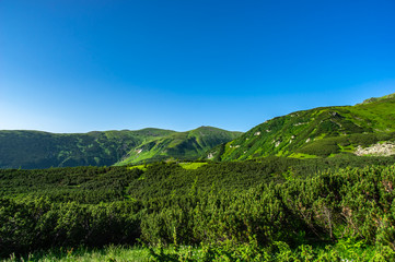 Fototapeta na wymiar Green hills against the blue sky in the mountains