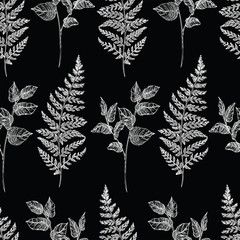 Seamless hand drawn vintage pattern with detailed fern branches on black background. Black and white graphic decoration for paper, textile, wrapping decoration, scrap-booking, t-shirt, cards. © little_airplane