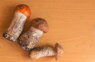 Ceps Mushroom Boletus over Wooden Background. Autumn Boletus edulis Mushrooms close up on wood rustic table. Cooking delicious organic mushroom. Gourmet food.