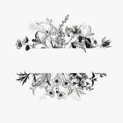 Horizontal hand drawn borders with wild flowers and herbs. Black and white arrangement in vintage style.