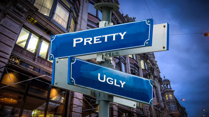 Street Sign Pretty versus Ugly