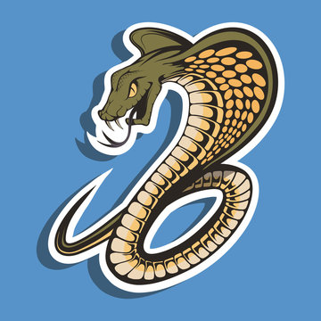 King cobra sports mascot logo. Spectacled cobra mascot, emblem, sticker and t shirt printing. Angry cobra illustration. Vector graphics to design