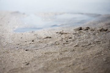 Spilled garbage on the beach of a big city. Empty used dirty plastic bottles, children's plastic toys. Dirty sea, sandy coast the Black Sea. Environmental pollution. Ecological problem. Moving waves