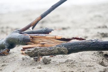 Spilled garbage on the beach of a big city. Empty used dirty plastic bottles, children's plastic toys. Dirty sea, sandy coast the Black Sea. Environmental pollution. Ecological problem. Moving waves
