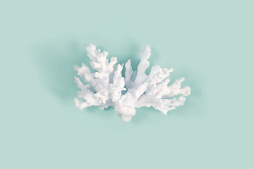 Сalcic skeleton of coral polyps on a pastel turquoise color background. Minimal marine concept.