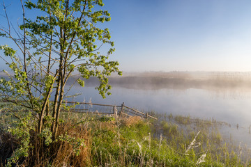 Słoneczny poranek nad Narwią. Mgły w Dolinie Narwi © podlaski49