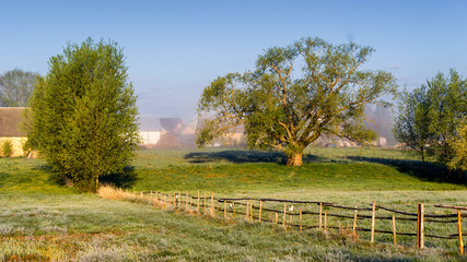 Słoneczny poranek nad Narwią. Mgły w Dolinie Narwi © podlaski49