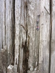 cracked old wood, abstract background, building material