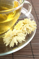 chrysanthemum tea from dried white chrysanthemum morifolium flowers