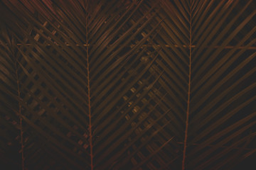 Green leaf layout, tropical yellow tones, creative, natural flat summer concept, Phuket Thailand