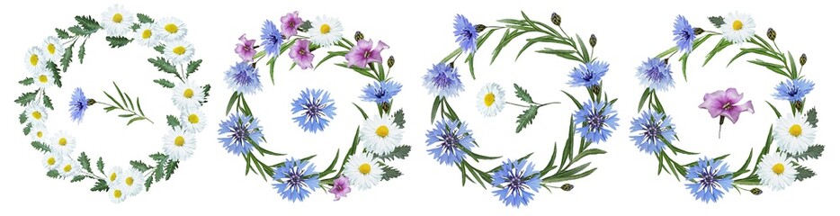 A set of wreaths of wild flowers: blue cornflowers, red poppies, pink flowers, white daisies, leaves, twigs, buds. Flower frame.  Watercolor.