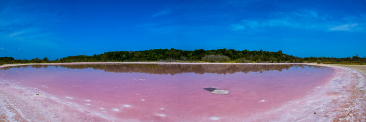 Stones and salt crystals in pink