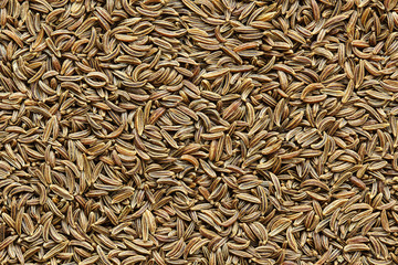 caraway seeds closeup background texture