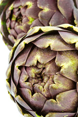 fresh globe artichokes on white closeup