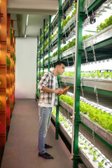 Agriculturist standing and looking at shelves with plants