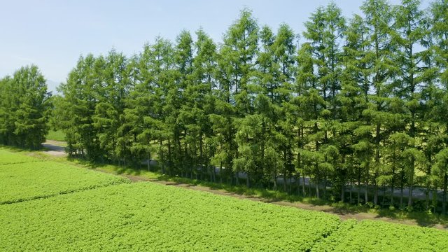 北海道の空撮