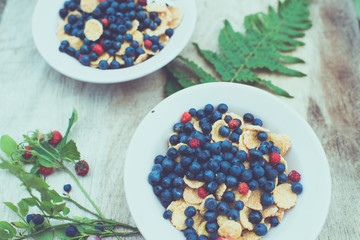 Summer wild berries