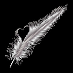 Feathers with a heart isolated. Vector illustration.