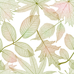 Seamless pattern with leaves. Vector illustration.