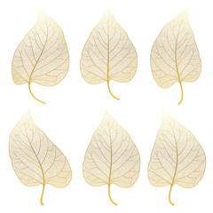 Fototapeta premium Set leaves of gold on white. Vector illustration. 