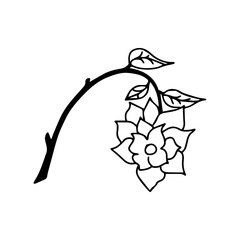 Rose hand drawn line vector, roses art, illustration logo. rose black and white