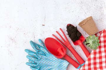 Gardening tools and top view, garden manteinance
