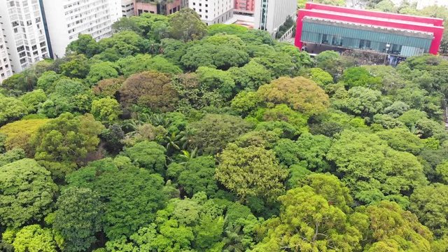 Park Trianon, the Museum of Art, Sao Paulo, Brazil (aerial view, panorama, drone footage)