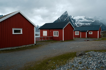 Typical red rorbu fishing huts with sod roof on Lofoten islands in Norway